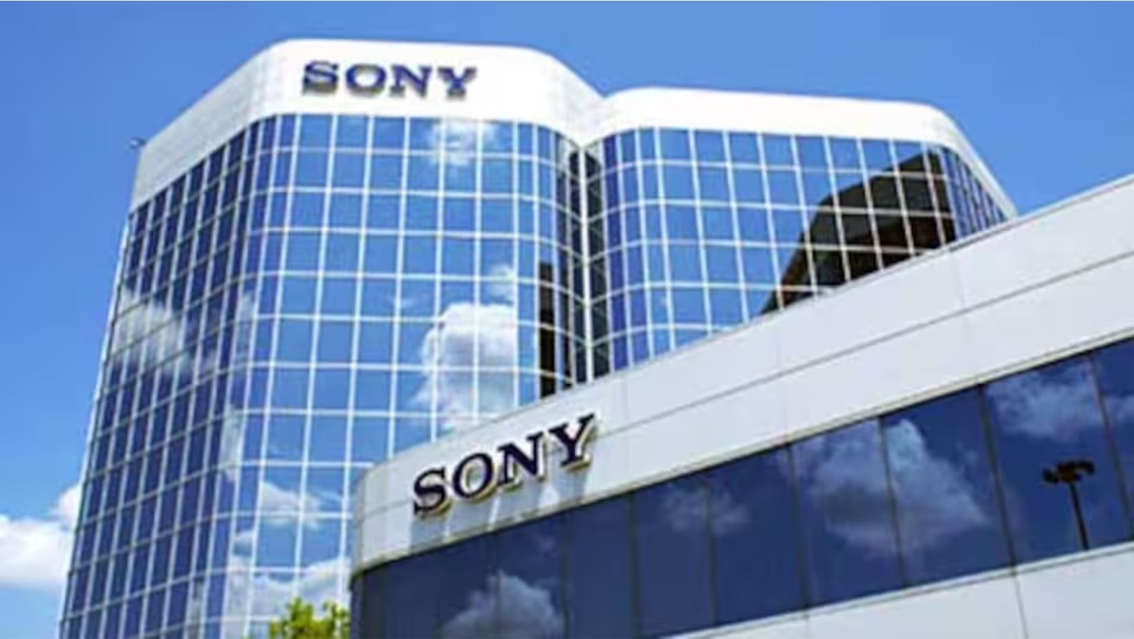 Trade Marketing Incharge in Sony