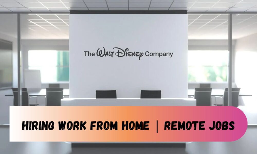 Senior Business Corporate Manager Disney-2024 | Great Opportunity